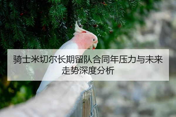 骑士米切尔长期留队合同年压力与未来走势深度分析